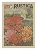 Plantez des Decoratifs