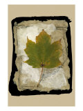 Kyoto Leaves V