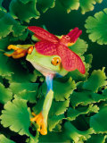 Tree Frog with Orchid