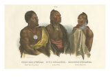 Chief Der Puncas