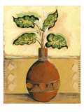 Southwest Terra Cotta I