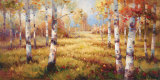 Meadow Clearing