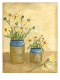 Country Daisy II