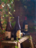Wine Cellar II