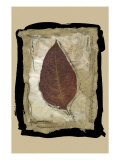Kyoto Leaves III
