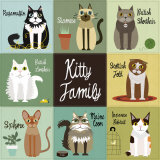 Kitty Family