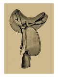 Antique Saddle I