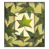 Spring Leaf Study III