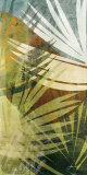 Palm Frond II