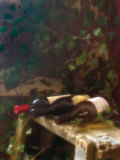 Wine Cellar I