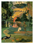 Landscape with Peacock