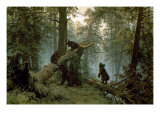 Morning in a Pine Forest