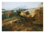 The Elk