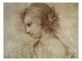 Profile of a Woman