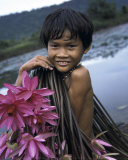Cambodian Boy  Harvesting Water Lilies