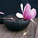Pink Flower