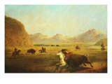 Buffalo Hunt