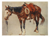 Navajo Pony
