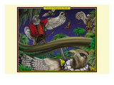 A Cast of Shakespearean Hawks