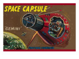 Space Capsule Gemini