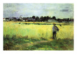Wheat Field