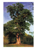 Pioneers of The Forest