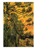 Pine Trees Against a Red Sky with Setting Sun