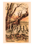 Fox and Geese