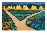 Vegetable Fields