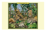 Leap of Leopards
