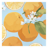 Fresh Oranges