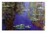 Monet - Water Lilies