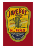 June Boy Dill Pickles