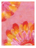Hot Summer Daisies
