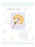 A New Life