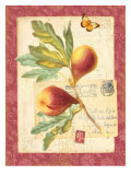 Vintage Botanical Garden Print