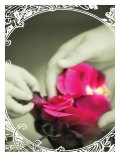 Rose Petals