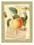 Vintage Botanical Garden Print
