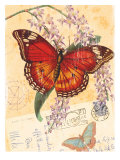 Vintage Botanical Butterfly Print