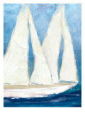The Sailboat Cruise