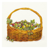 Basket Of Gooseberries