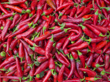 Close-Up of Red Chilies in Nahaufnahme  Osh  Kyrgyzstan  Central Asia