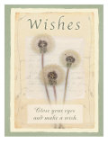Wishes