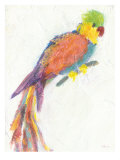 Parrot Extraordinaire