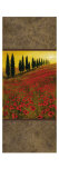 Poppy Field Panel II