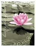 Love Lilly