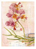 Vintage Botanica Flower Print