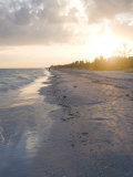 Sunset on Beach  Sanibel Island  Gulf Coast  Florida  United States of America  North America