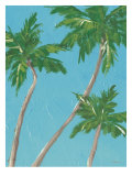 Palm Tree Sway