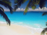 Empty Beach and Palms Trees  Seychelles  Indian Ocean  Africa